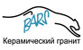 Барс